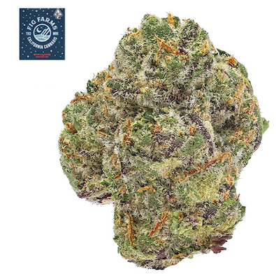 CAUGH SYRUP- SYNC TEST FEB 12